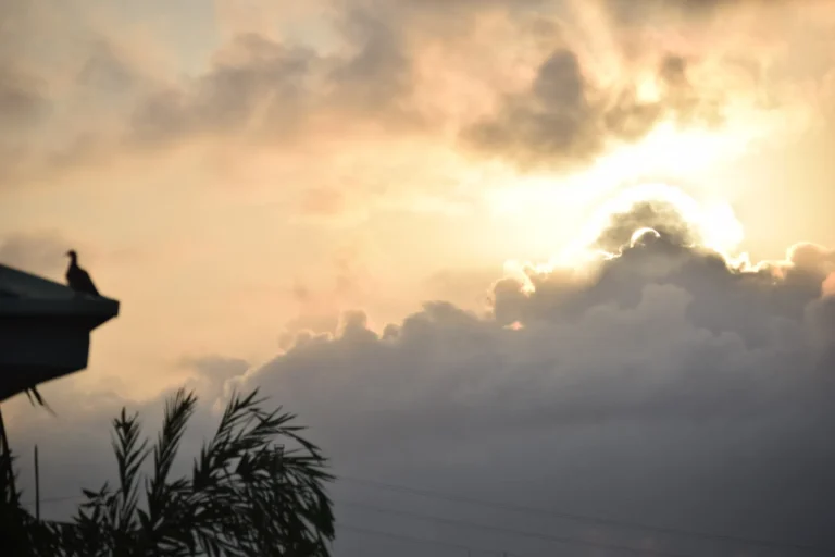 Silhouette of a bird perched on a rooftop against billowing clouds and a glowing sunset sky.