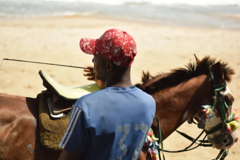 Street photography — a person riding on horseback along a coastal road